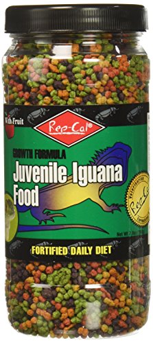 Rep-Cal SRP00801 Juvenile Iguana Food, 7-Ounce