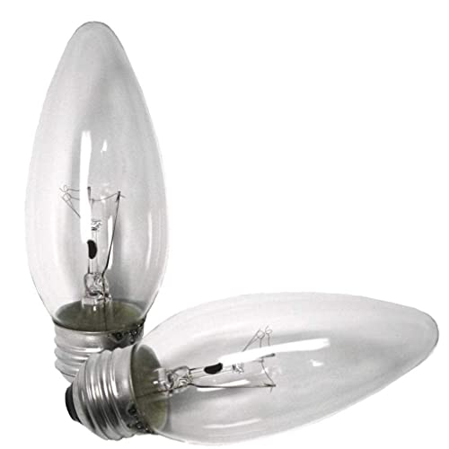 GE 22756 25-Watt 170-Lumen Decorative B13 Incandescent Light Bulb, Crystal Clear, 2-Pack