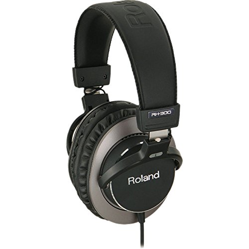 Roland RH-300 Stereo Headphones