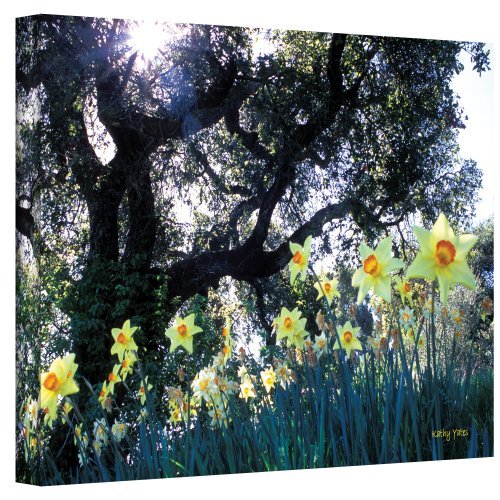 ArtWall Daffodils and The Oak Gallery Wrapped Canvas by Kathy Yates, 24 by 36-Inch
