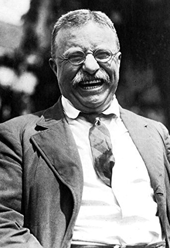 Theodore Roosevelt Poster, The Bull Moose, Smiling