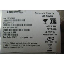 Seagate ST3250310CS 250GB 7200RPM 8MB Cache SATA 3.5″ Internal Desktop Hard Drive w/1 Year Warranty