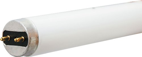 GE Garage & Basement Fluorescent Tube Light Bulbs, T8 Bulb, 28-Watt, 2675 Lumen, 48-Inch Length, G13 Base, Cool White, 36-Pack, Tubular Light Bulbs
