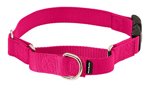 PetSafe Martingale Collar with Quick Snap Buckle, 1″ Medium, Raspberry