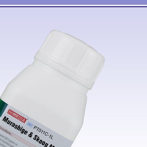 HiMedia PT011C-1L Murashige and Skoog Medium with Vitamins, Sucrose, 6-BAP, Agar and Without CaCl2, IAA, Kinetin, 1 L