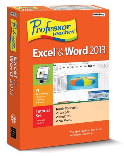 Professor Teaches Excel and Word 2013