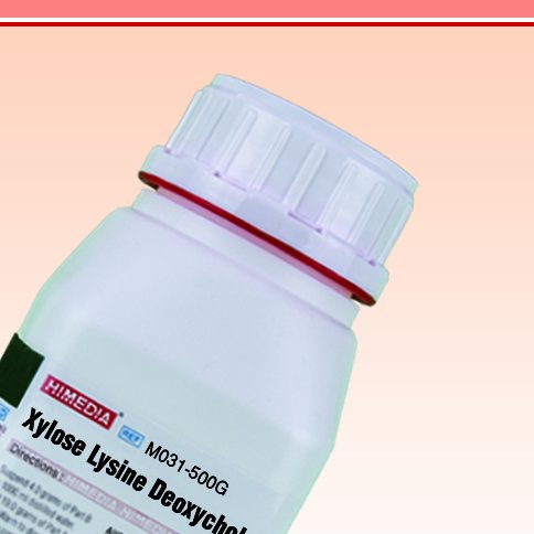 HiMedia M031-500G Xylose Lysine Deoxycholate Agar (XLD Agar), 500 g
