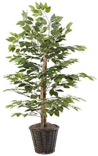 Vickerman 4′ Artificial Ficus Bush, Rattan Basket.