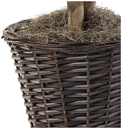Vickerman 4′ Artificial Ficus Bush, Rattan Basket. | The Storepaperoomates Retail Market - Fast Affordable Shopping