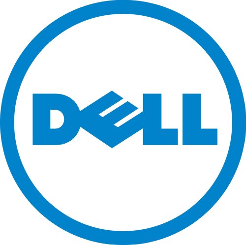 Dell – HT954-300gb 10k SAS 3.5 Sp
