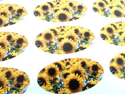 Minilabel Pack Of 48 Sunflower Seals , 40X20mm Oval Seal Labels, Stickers For Gift Wrapping, Presents, Envelopes, Bags Or Cards