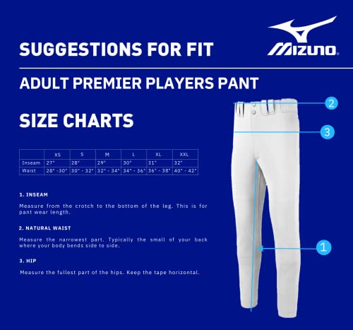 Mizuno Premier Players Adult Baseball Pants With Elastic Bottom, Dark Charcoal, Small | The Storepaperoomates Retail Market - Fast Affordable Shopping