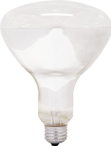 GE Lighting 21229 300-Watt, 3000-Lumen R40 Light Bulb with Medium Base, 24-Pack