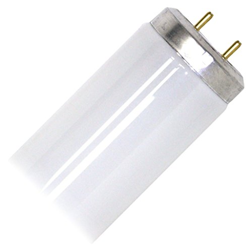 Fluorescent Light Bulb, Cool White, 15-In., 14-Watts