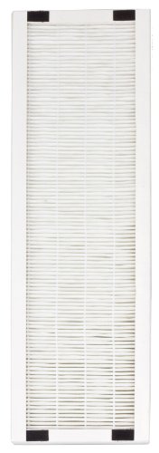 SPT 2062-HEPA HEPA Replacement Filter (set of 2) for Air Purifier model #AC-2062