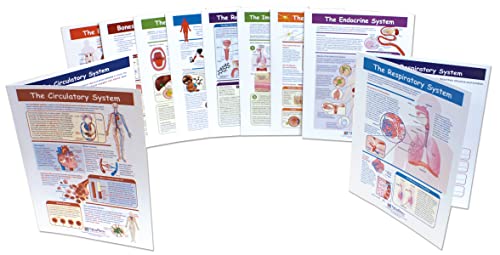 NewPath Learning Human Body Visual Learning Guide Set, Grade 6-10
