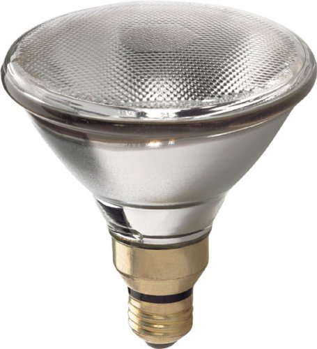 GE Lighting 90601 Energy-Efficient Halogen 67-Watt (90-watt replacement) 1500-Lumen PAR38 Spotlight Bulb with Medium Base, 12-Pack