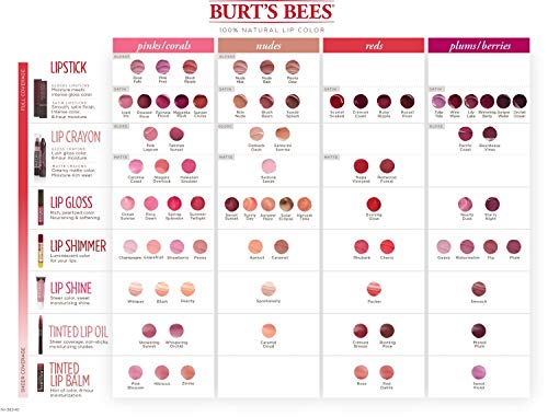 Burt’s Bees Lip Care Easter Basket Stuffers, Moisturizing Lip Shine for Women, 100% Natural, Blush, 0.5 Oz | The Storepaperoomates Retail Market - Fast Affordable Shopping