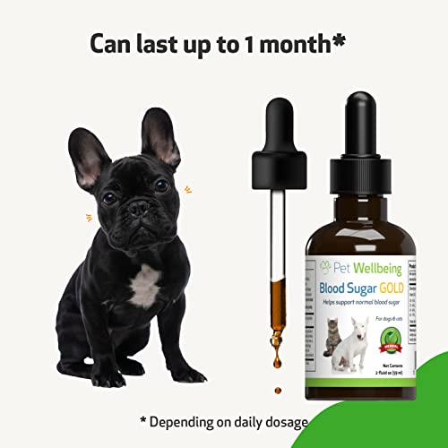 Pet Wellbeing Blood Sugar Gold for Dogs – Vet-Formulated – Supports Blood Sugar Balance and Healthy Pancreas & Liver in Dogs – Natural Herbal Supplement 2 oz (59 ml) | The Storepaperoomates Retail Market - Fast Affordable Shopping