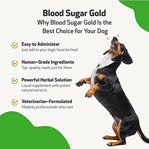 Pet Wellbeing Blood Sugar Gold for Dogs – Vet-Formulated – Supports Blood Sugar Balance and Healthy Pancreas & Liver in Dogs – Natural Herbal Supplement 2 oz (59 ml) | The Storepaperoomates Retail Market - Fast Affordable Shopping
