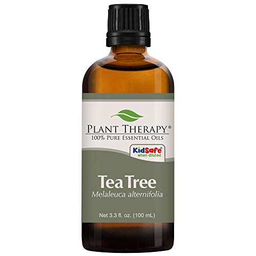 Plant Therapy Tea Tree Essential Oil 100% Pure, Undiluted, Natural Aromatherapy, Therapeutic Grade 100 mL (3.3 oz)