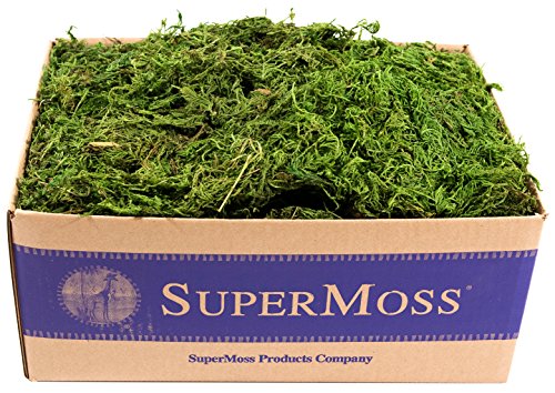 SuperMoss (25325) Forest Moss Preserved, Fresh Green, 3 Pounds