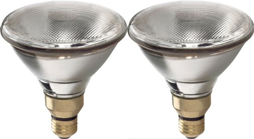 GE Lighting 68957 Energy-Efficient Halogen 53-watt 940-Lumen PAR38 Flood Light Bulb with Medium Base, 2-Pack