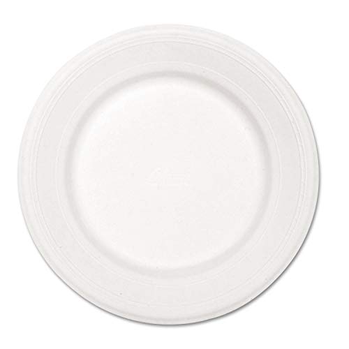 Chinet VENTURE-CT Paper Dinnerware- Plate- 10-1/2quot; Diameter- White- 500/Carton