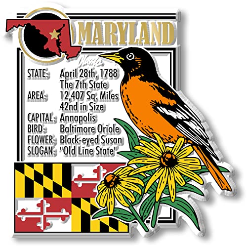 Maryland State Montage Magnet by Classic Magnets, 3″ x 3.3″, Collectible Souvenirs Made in The USA