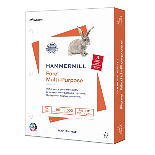 Hammermill Printer Paper, Fore Multipurpose 24 lb Copy Paper, 3 hole – 1 Ream (500 Sheets) – 96 Bright, Made in the USA, 101287