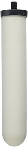 Doulton W9124020 Chlorasyl Ceramic 10 Inch Filter Replacement Candle