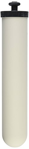 Doulton Ultracarb 10″ Water Filter Candle, 4-pack (W9123053)