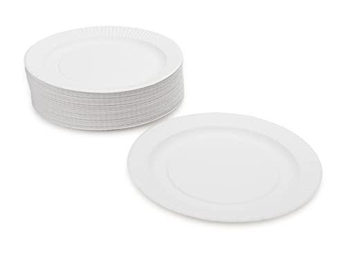 Hygloss Products Paper Plates – Uncoated White Plate – Use for Foodware, Events, Activities, Crafts Projects and More – Environmentally Friendly – Recyclable and Disposable – 6-Inches – 100 Pack