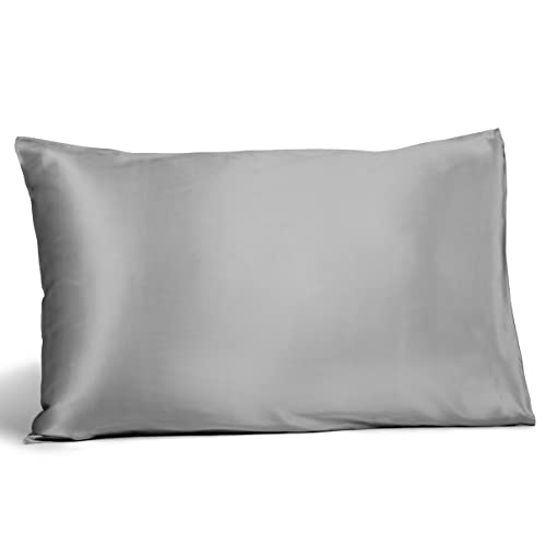 Fishers Finery 25mm 100% Pure Mulberry Silk Pillowcase, Good Housekeeping Winner (Silver, Queen)