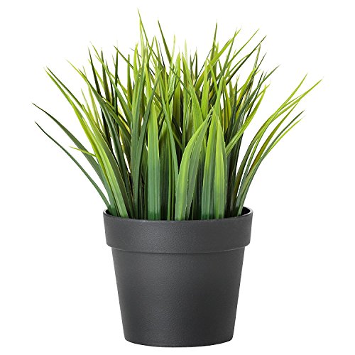 Ikea Artificial Potted Plant, Wheat Grass, 7.75 Inch