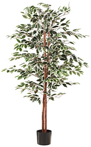Artificial Ficus Tree with Variegated Leaves and Natural Trunk, Beautiful Fake Plant for Indoor-Outdoor Home Décor-5 ft. Tall Topiary by Pure Garden