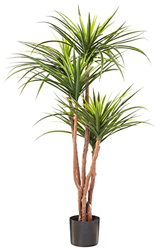 Artificial Tropical Yucana Tree with Rubber Leaves and Natural Trunk, Fake Plant for Indoor-Outdoor Home Décor-51-Inch Tall Topiary by Pure Garden