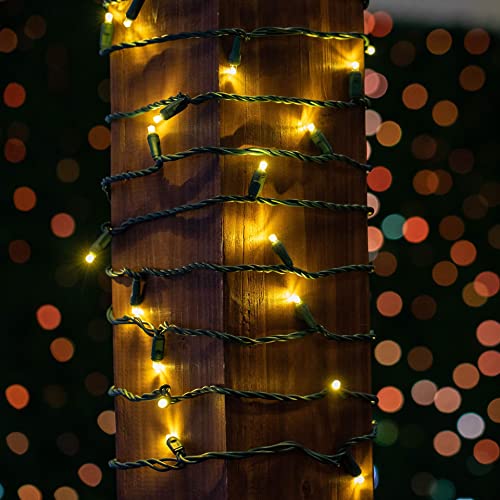 Novelty Lights 50 Light LED Christmas Mini Light Set, Outdoor Lighting Party Patio String Lights, Warm White, Green Wire, 25 Feet | The Storepaperoomates Retail Market - Fast Affordable Shopping