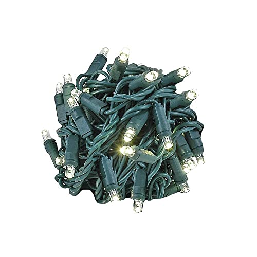 Novelty Lights 50 Light LED Christmas Mini Light Set, Outdoor Lighting Party Patio String Lights, Warm White, Green Wire, 25 Feet | The Storepaperoomates Retail Market - Fast Affordable Shopping