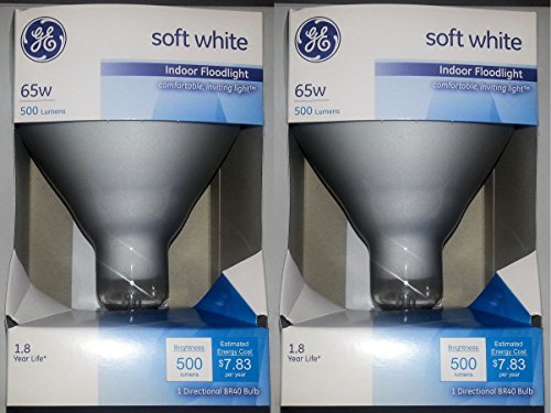 GE 65 Watt Soft White Floodlight BR40 Light Bulb, 2-Pack