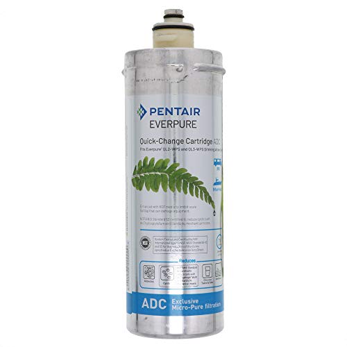 Everpure EV959206 ADC Full Timer RV Water Filter Cartridge– (Package Of 2)