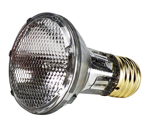 GE Energy Efficient Halogen PAR20 Light Bulb, 1 Year Life, Indoor Floodlight, 38 Watt, 490 Lumens, 2 Pack