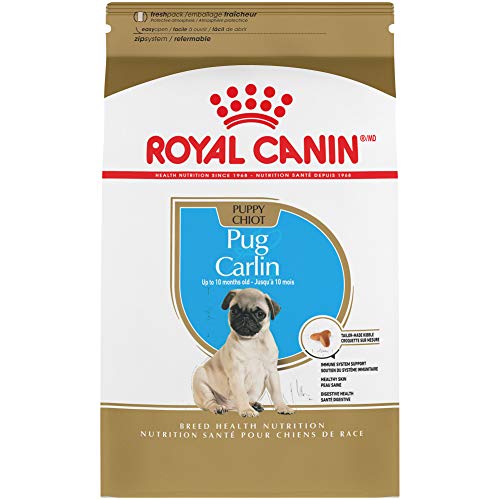 Royal Canin Breed Health Nutrition Pug Puppy Dry Dog Food, 2.5 lb