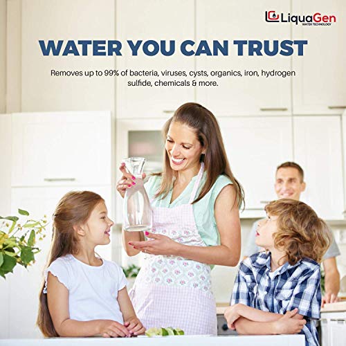 3 Stage – LiquaGen Inline Alkaline/KDF/Carbon Mineral Drinking Water Filter | 2″ x 10″ | Reverse Osmosis Mineral Home Water Filter | Will Help Restore Body’s pH Level and Remineralization of Important Nutrients | The Storepaperoomates Retail Market - Fast Affordable Shopping