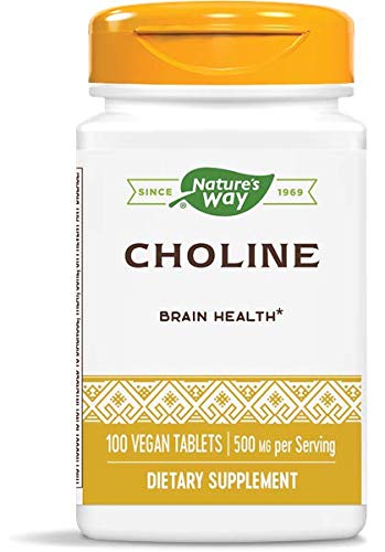 Nature’s Way Choline, 500 mg, 100 Tablets, Pack of 2