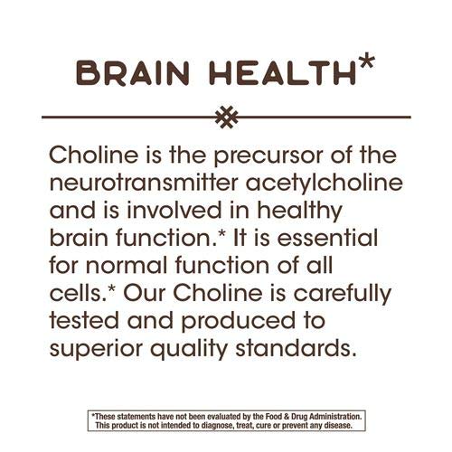 Nature’s Way Choline, 500 mg, 100 Tablets, Pack of 2 | The Storepaperoomates Retail Market - Fast Affordable Shopping
