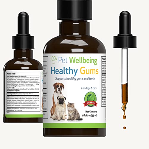 Pet Wellbeing – Healthy Gums for Dogs – Natural Supplement for Healthy Gums, Teeth and Breath Against Dog Gingivitis – 2oz (59ml).
