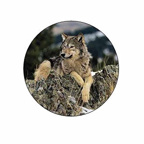 Wolf on Rocks Stickers – Gift Bag or Envelope Seals – Wolves Animal Theme Stationery Design – Party Favor Supplies – Set of 24