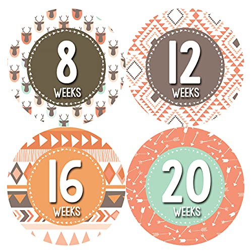 Months in Motion Pregnancy Weekly Belly Growth Stickers – Baby Bump Belly Stickers – Maternity Week Sticker – Pregnant Expecting Photo Prop Keepsake – Expectant Mom Gift – Style 916