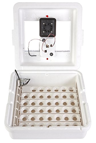 Little Giant Digital Circulated Air Incubator with Automatic Turner (41 Eggs) Egg Incubator with Fan and Egg Turner (Item No. 11300)